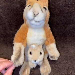 National Geographic kangaroo animal